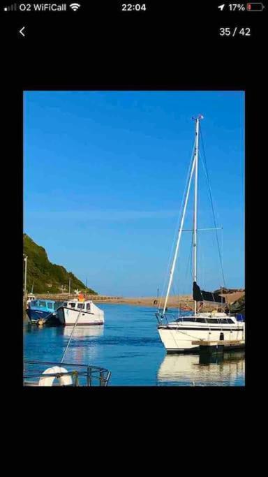 Park Gate, Colyton, Farm,Near Beaches-'Annie' 外观 照片