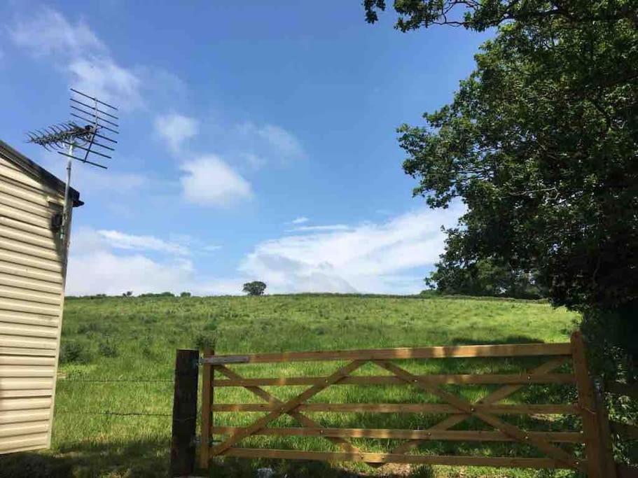 Park Gate, Colyton, Farm,Near Beaches-'Annie' 外观 照片