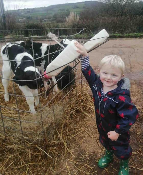 Park Gate, Colyton, Farm,Near Beaches-'Annie' 外观 照片